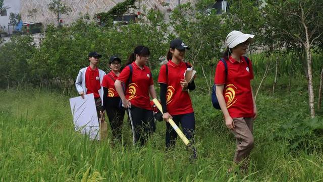 歷時7年試驗,集美大學【蠔殼惠民】酸化土壤改良慕課即將上線